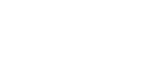 Maxisafe